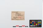 Etikett zu Eisenklappmesser (NHMW-PRAE-024443)